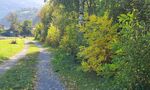 Zams Hinterfeld _ 2,2 km Rundtour