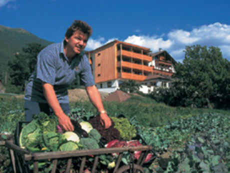 Biohotel Panorama